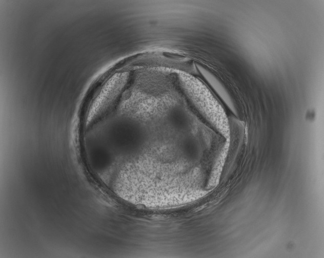 X0000116870388201001121306