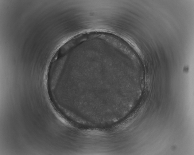 X0000116870389201001121306