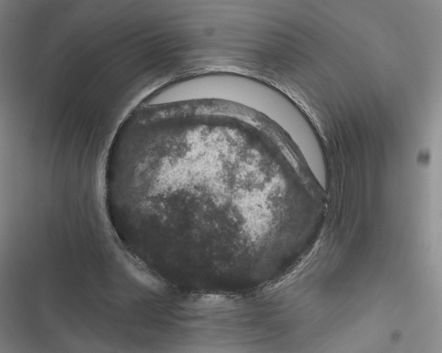 X0000116870390201001121306