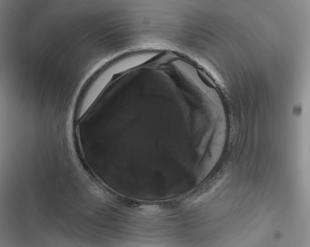 X0000116870391201001121306