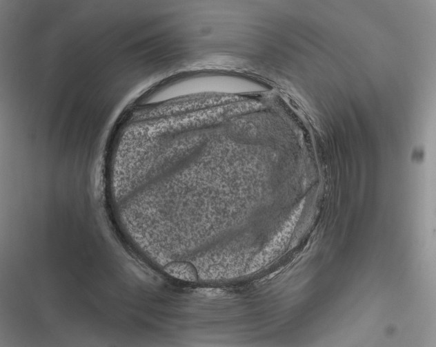 X0000116870392201001121306