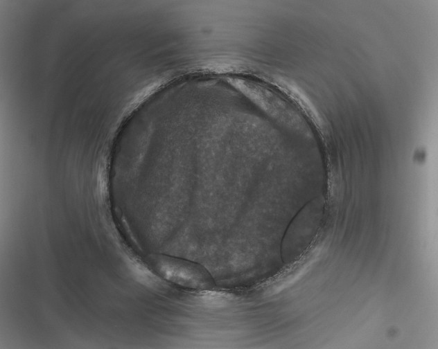 X0000116870393201001121306