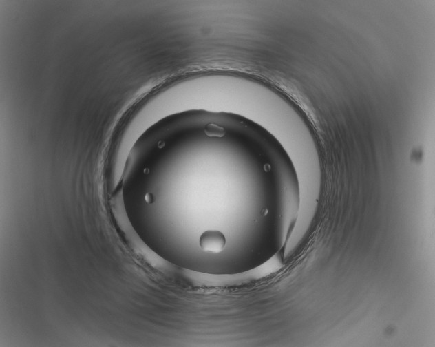 X0000116870395201001121306