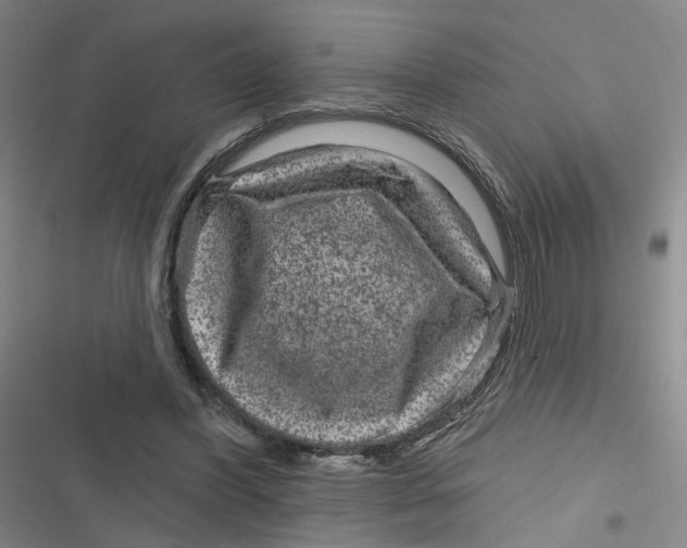 X0000116870396201001121306