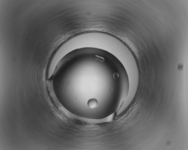 X0000116870397201001121306