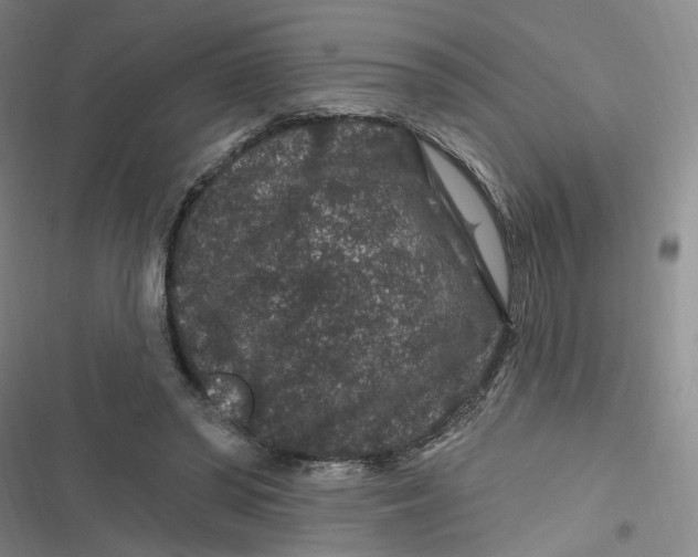 X0000116870398201001121306