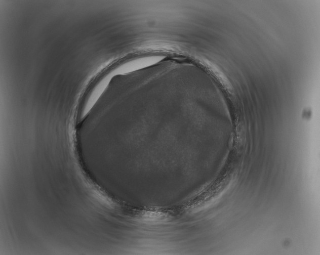 X0000116870399201001121306