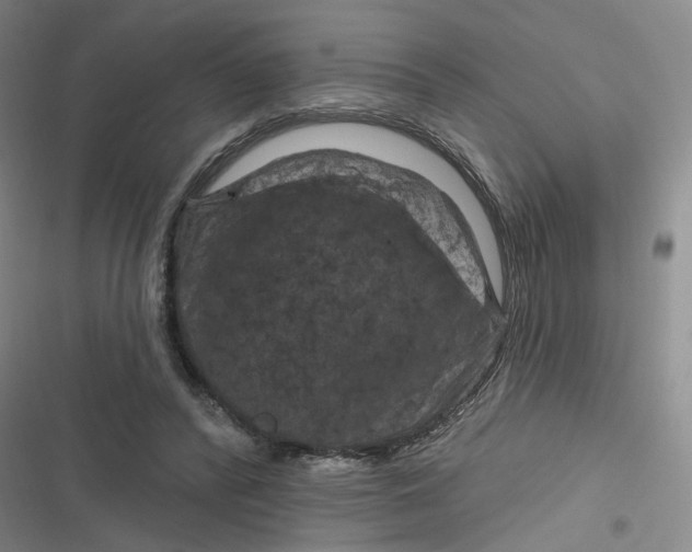 X0000116870400201001121306