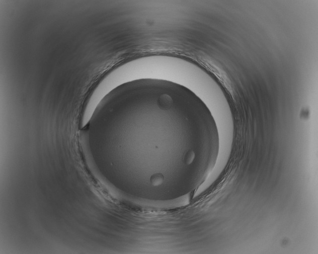 X0000116870401201001121306