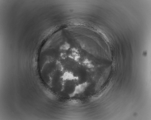 X0000116870402201001121306