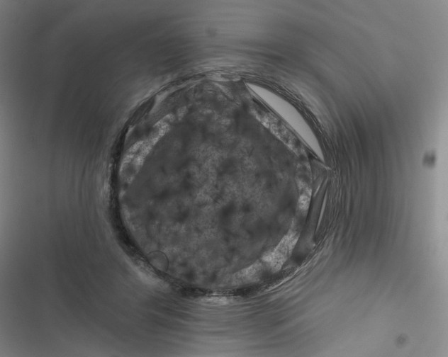 X0000116870404201001121306