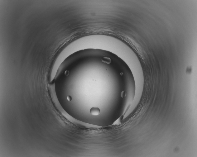 X0000116870405201001121306