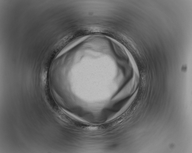 X0000116870406201001121306