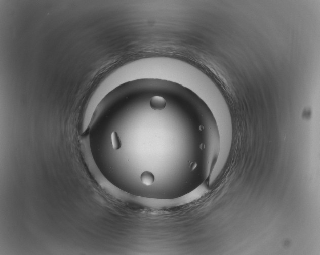 X0000116870407201001121306