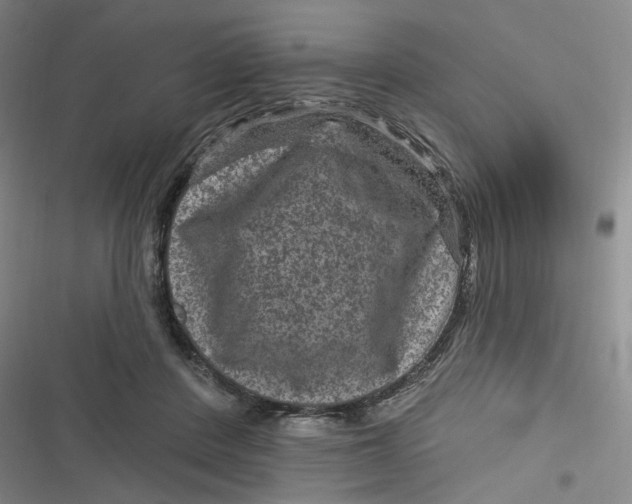 X0000116870408201001121306