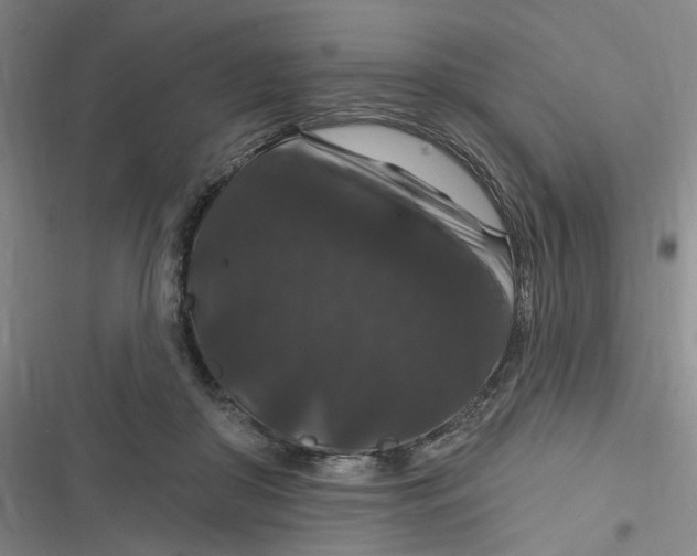 X0000116870410201001121306