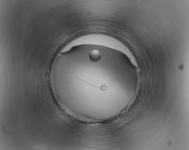 X0000116870411201001121306