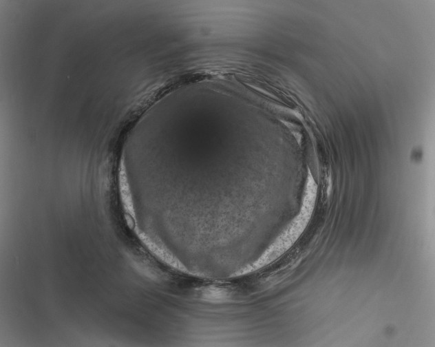 X0000116870412201001121306