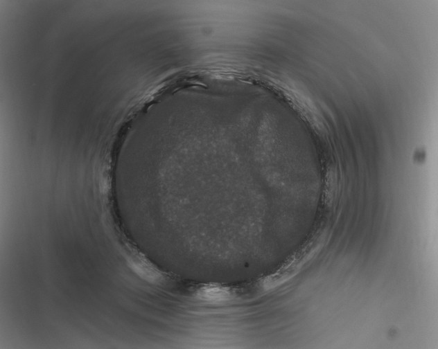 X0000116870413201001121306