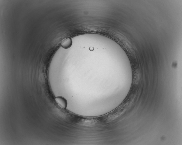 X0000116870414201001121306