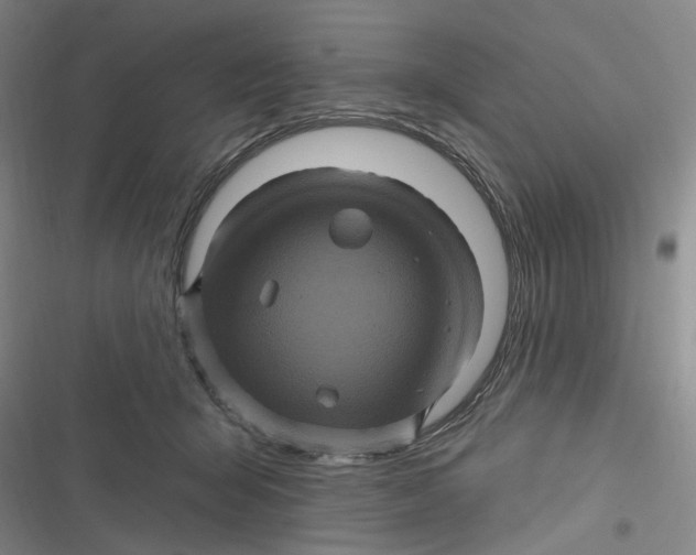 X0000116870415201001121306