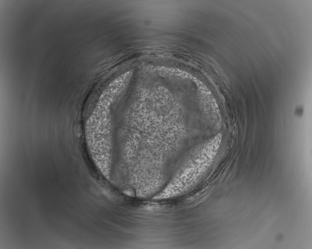 X0000116870416201001121306