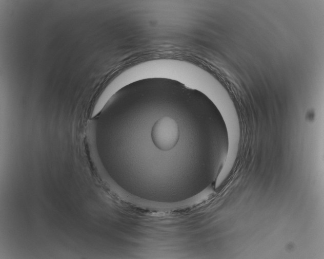 X0000116870417201001121306