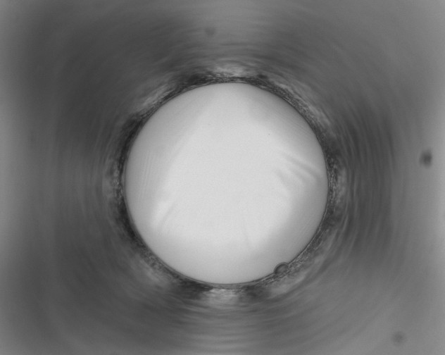 X0000116870418201001121306