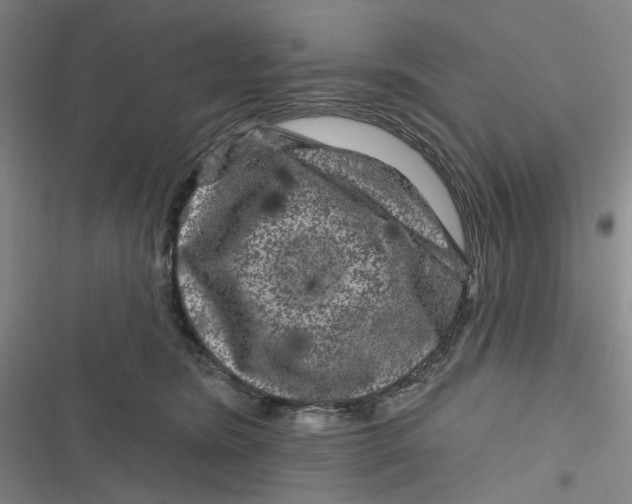 X0000116870420201001121306