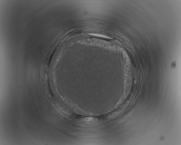 X0000116870421201001121306