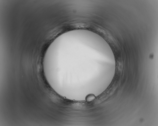 X0000116870422201001121305