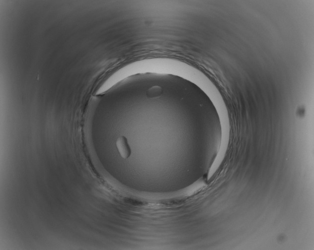 X0000116870423201001121305