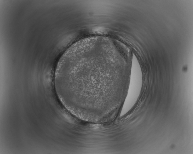 X0000116870424201001121305