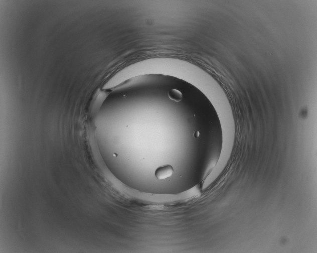 X0000116870425201001121305