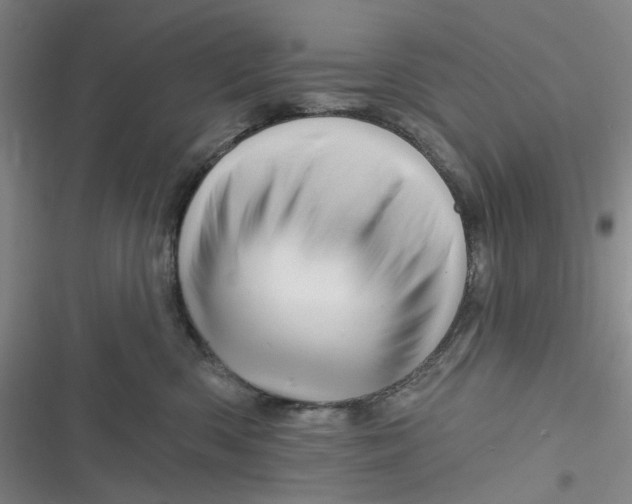 X0000116870426201001121305