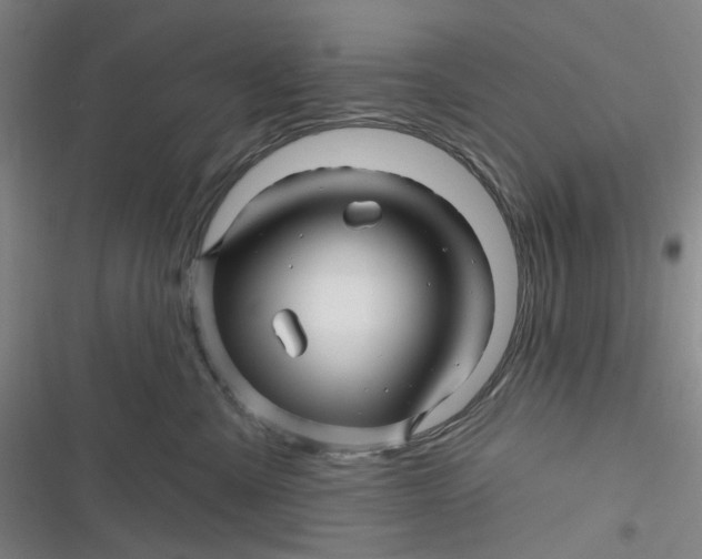 X0000116870427201001121305