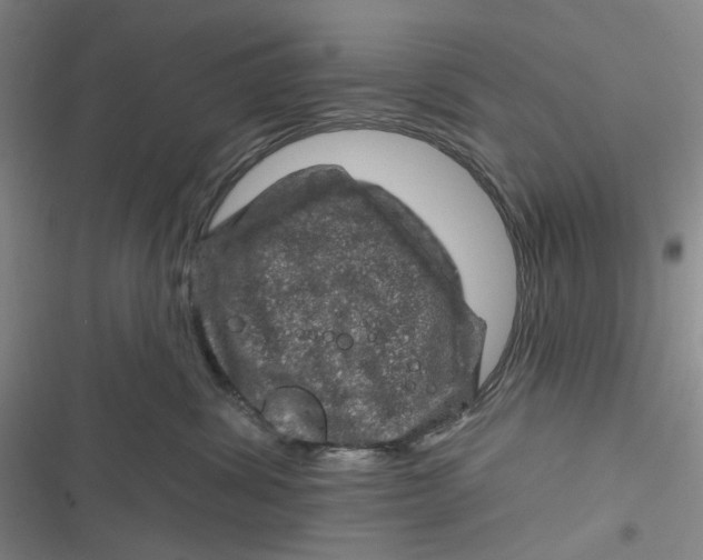 X0000116870428201001121305