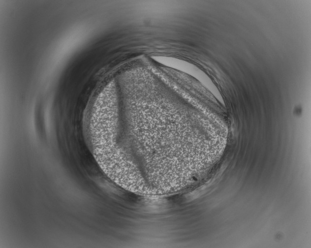 X0000116870429201001121305