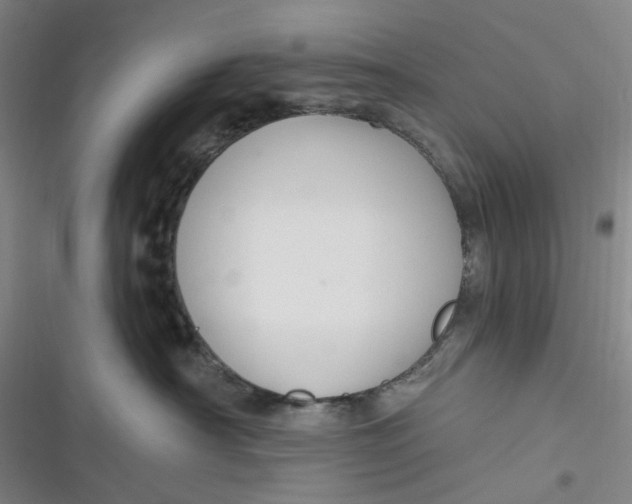 X0000116870430201001121305