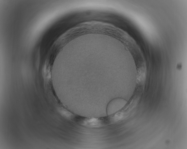 X0000116870431201001121305