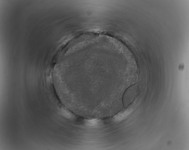 X0000116870432201001121305