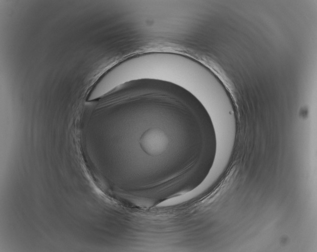 X0000116870433201001121305