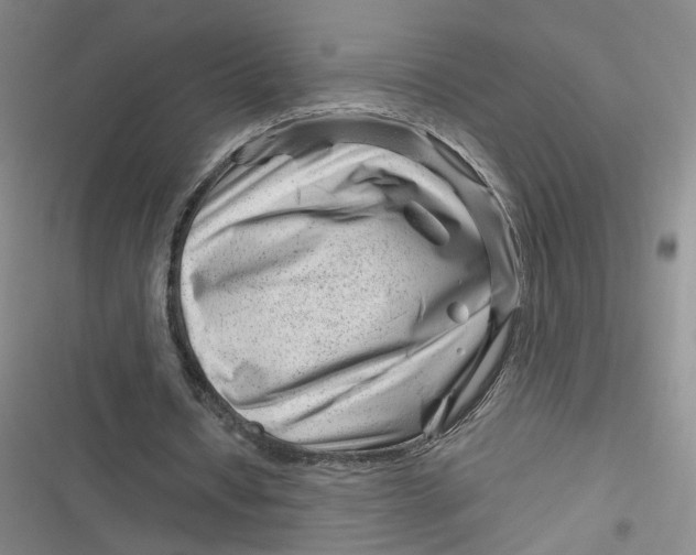 X0000116870434201001121305