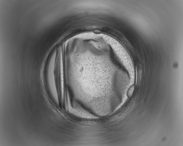 X0000116870435201001121305