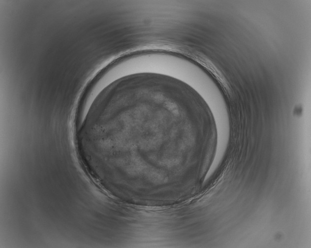 X0000116870436201001121305