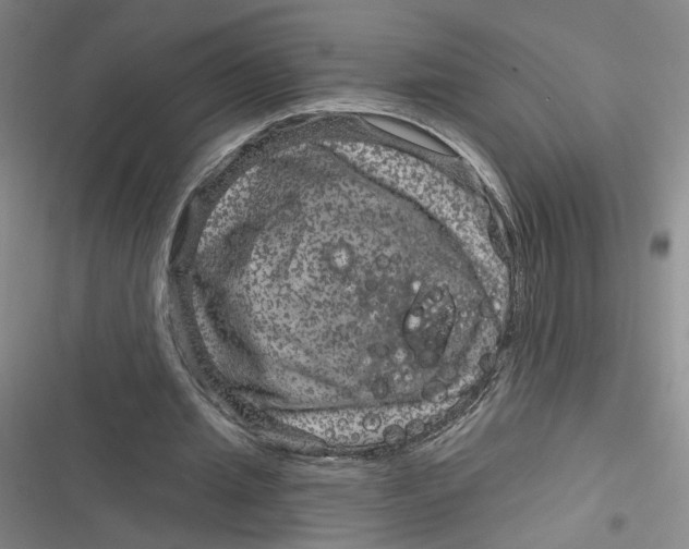 X0000116870437201001121305