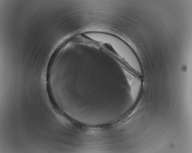 X0000116870438201001121305