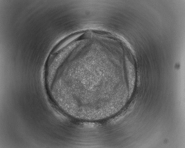 X0000116870439201001121305