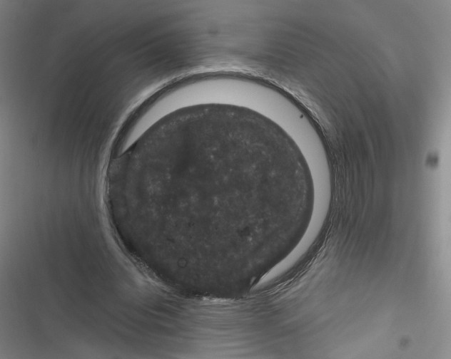 X0000116870440201001121305