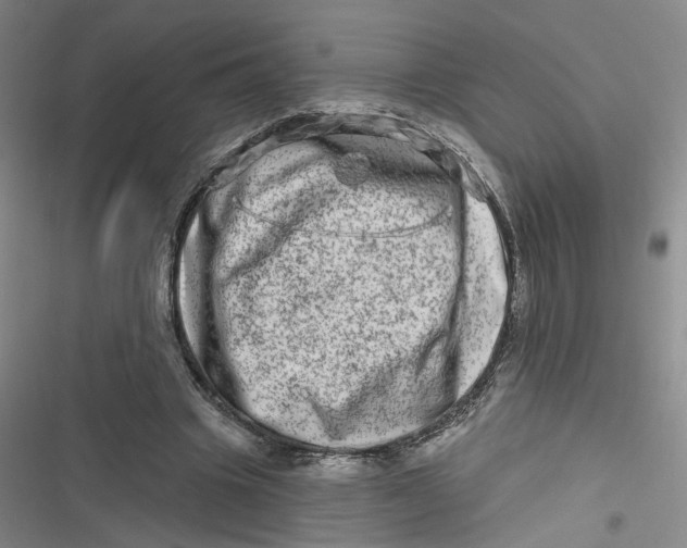 X0000116870441201001121305